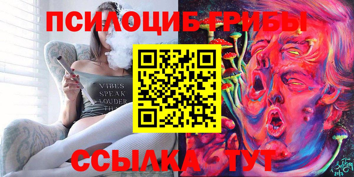 Димитровград  Псилоцибиновые грибы мухоморы  Вход с VPN 