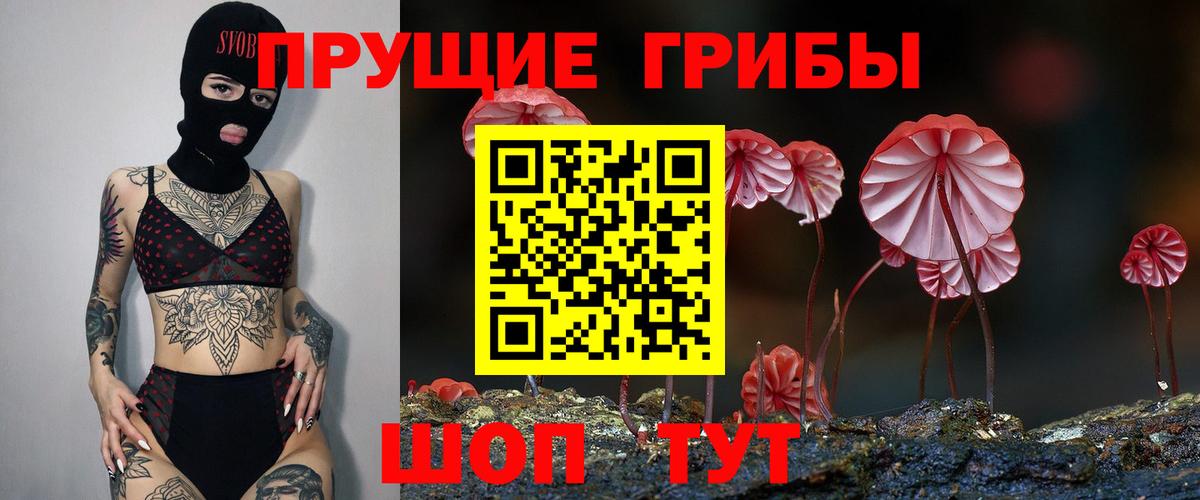 Галлюциногенные грибы Magic Shrooms Димитровград