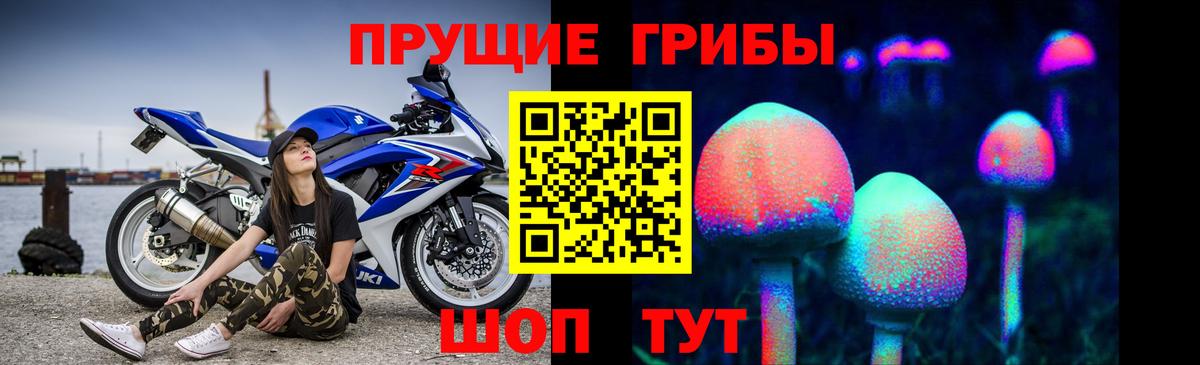 Галлюциногенные грибы мухоморы Димитровград