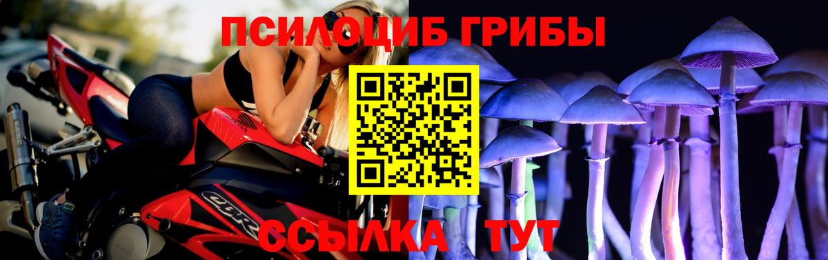 Галлюциногенные грибы Cubensis  Димитровград 